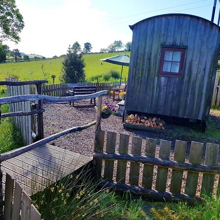 Eco Accommodation Cornflower Holiday Craven Arms Exterior photo